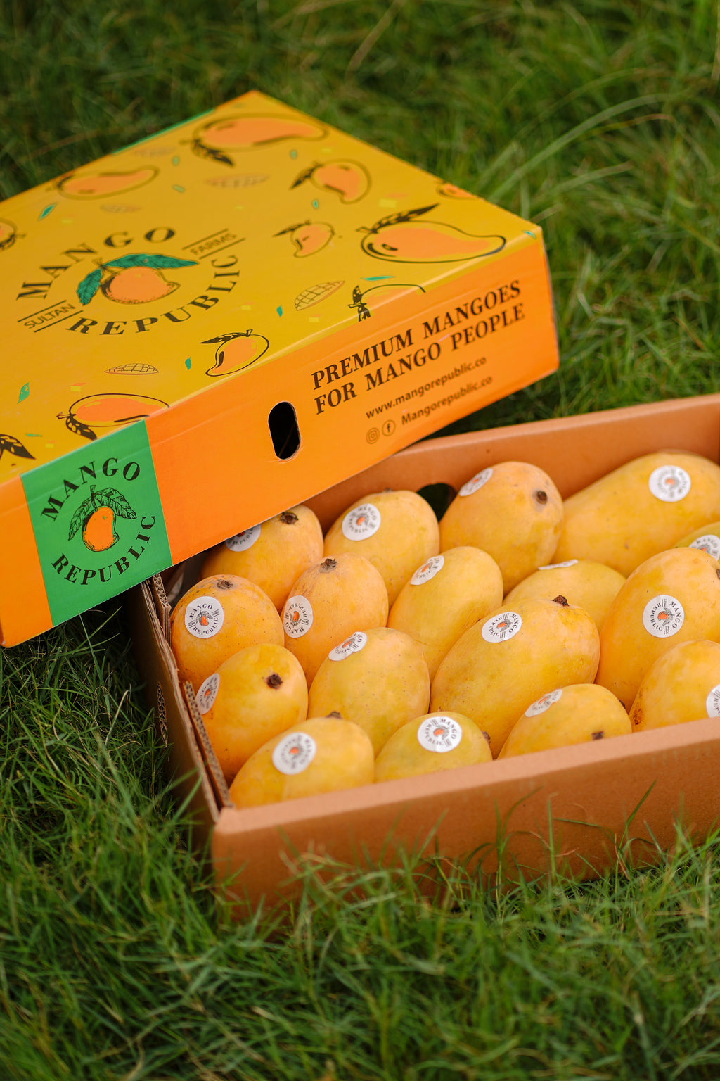 Chaunsa Mango – The King