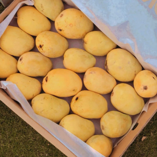 Anwar Ratol Mango – The Legend