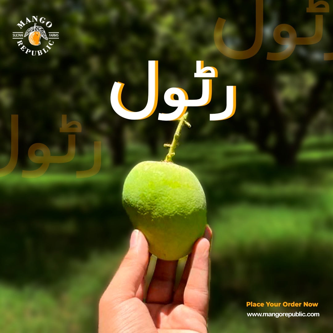 Anwar Ratol Mango – The Legend