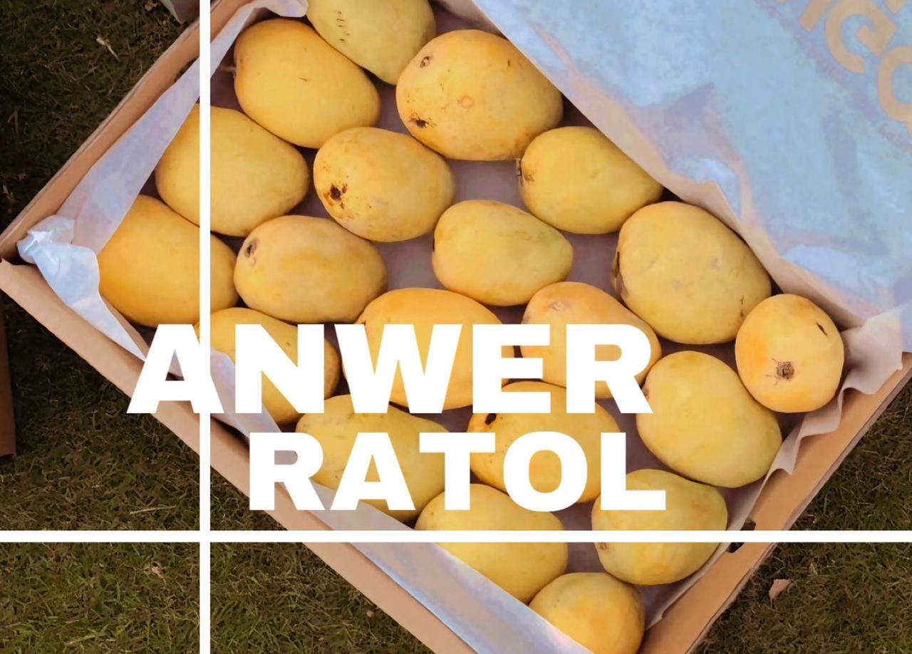 Anwar Ratol Mango – The Legend
