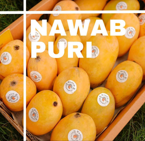 Nawab Puri Mango