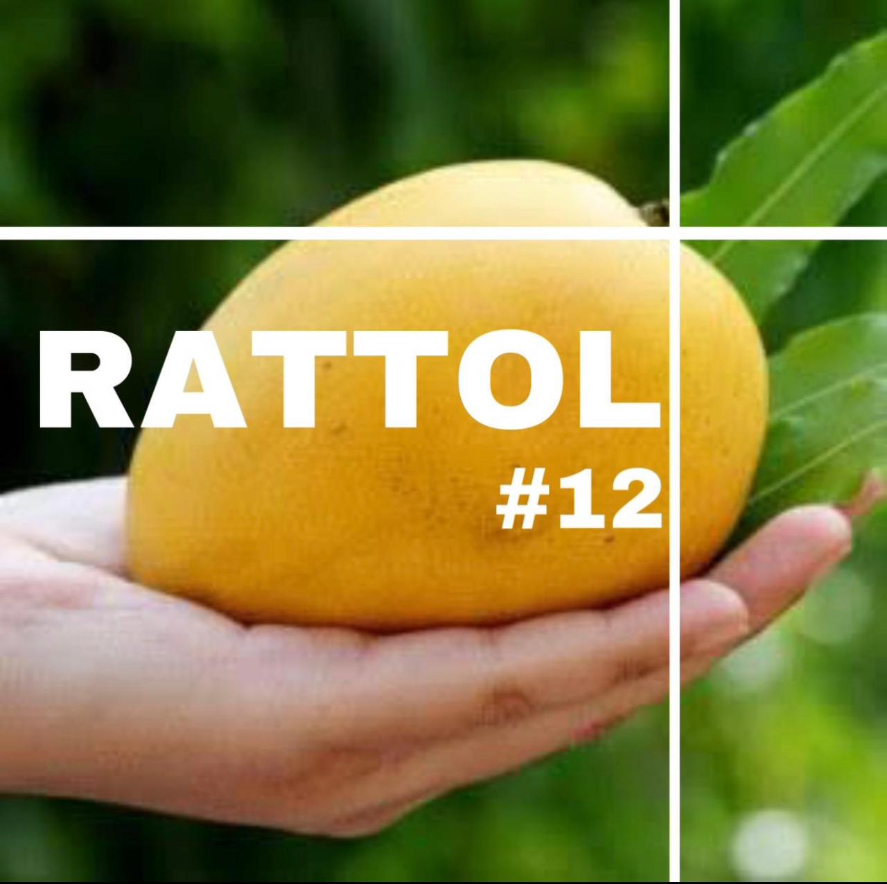 Ratol-12 Mango